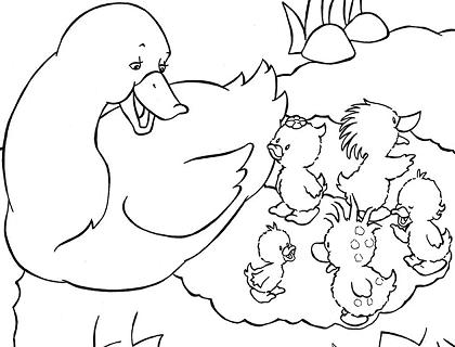 Duck Coloring Pages on Ducks Coloring Pages 7 Com Jpeg