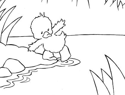 Duck Bird on Little Duck Coloring Page