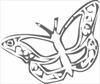 Butterfly 2 coloring page