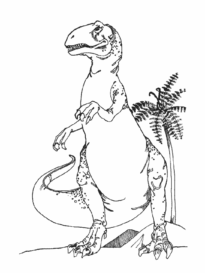 Dinosaur t rex coloring page