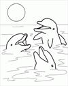 Dolphins 3 coloring page