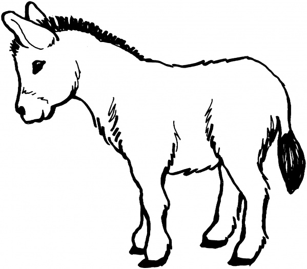 d is for donkey coloring pages - photo #7