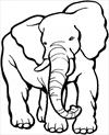 Elephant 4 coloring page