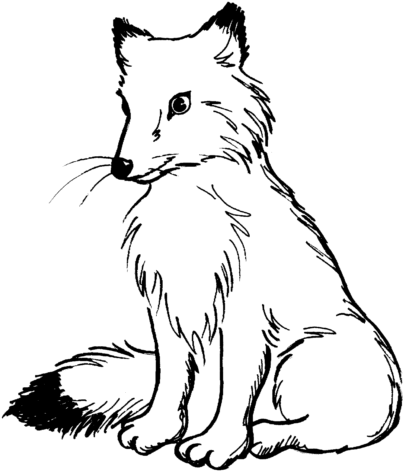 fox-4-coloring-page