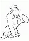 Gorilla monkey coloring page