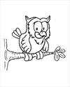 Owl on a tree coloring page