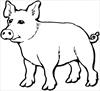 Pig 4 coloring page