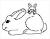 Rabbits coloring page