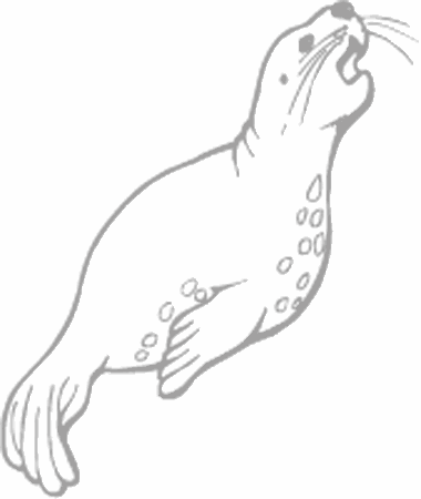 Seal coloring page