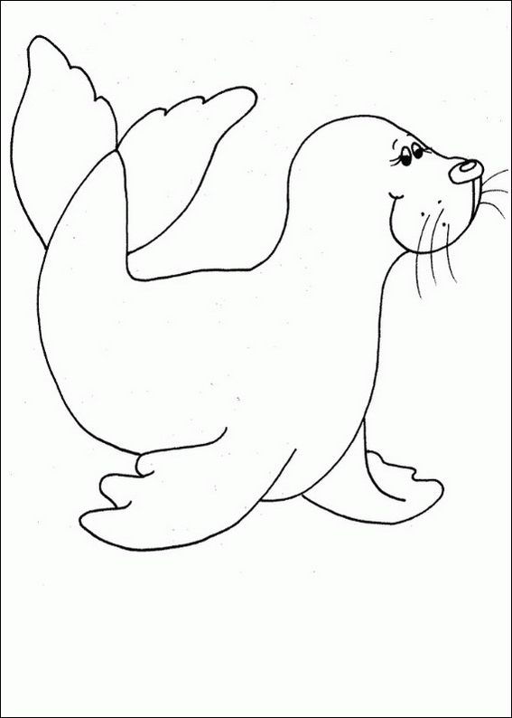 Swimming seal coloring page