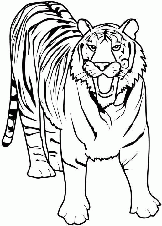 Tiger 2 coloring page