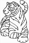 Tiger coloring page