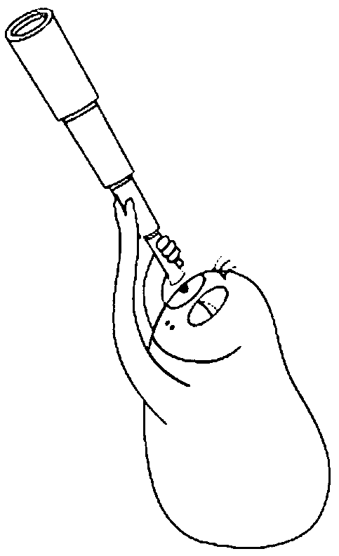 Barbapapa with telescope coloring page