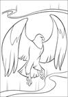 Brother Bear bird coloring page