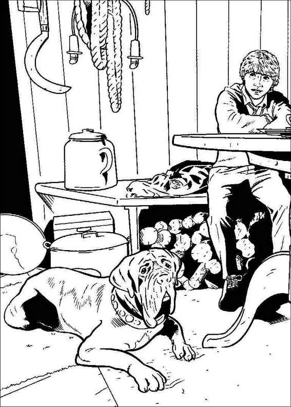 Harry Potter 009 coloring page