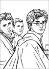 Harry Potter 046 coloring page