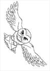 Hedwig Harry Potter's owl coloring page