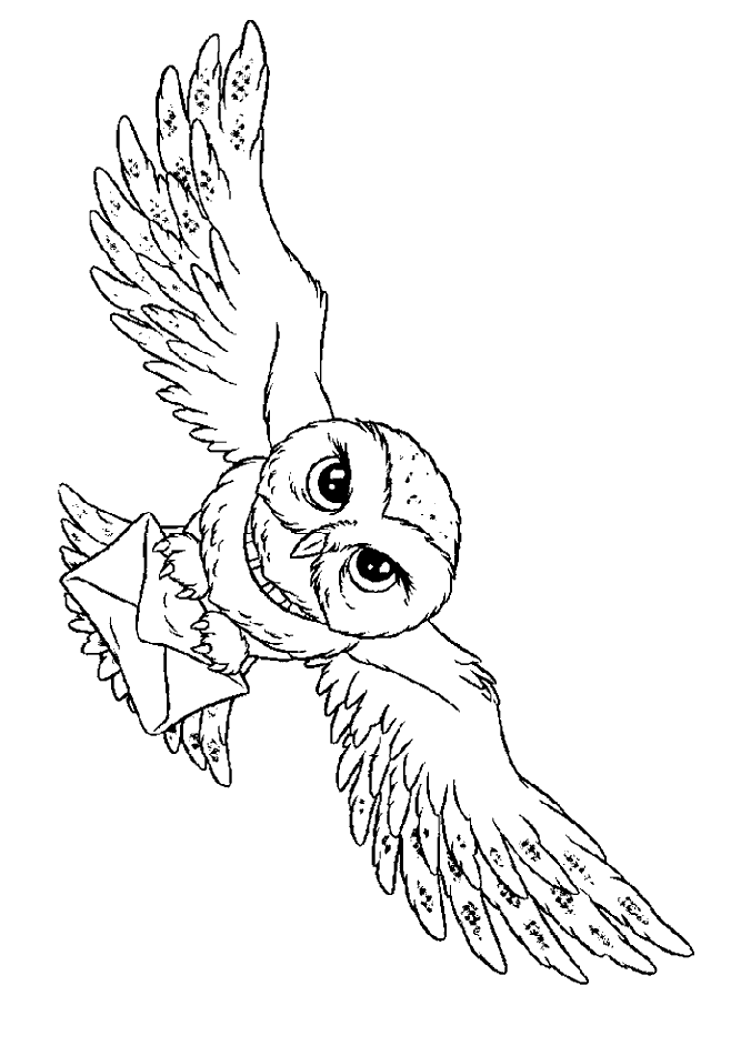 Hedwig Harry Potter's owl coloring page