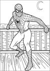 Spiderman 051 coloring page