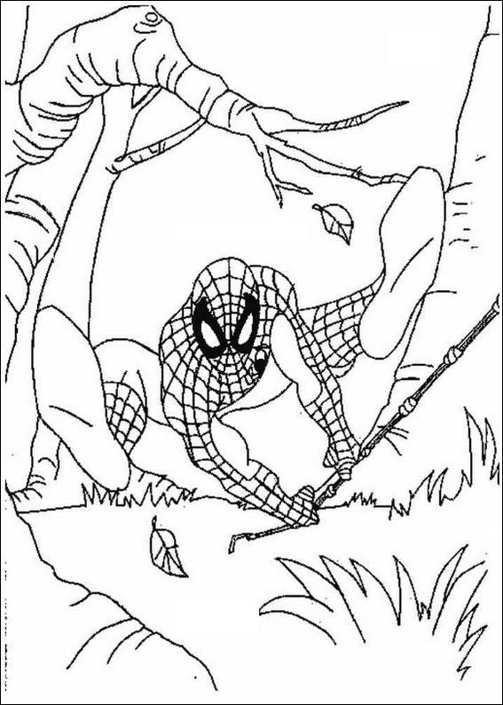 spiderman coloring pages. Spiderman 072 coloring page