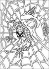 Spiderman 073 coloring page