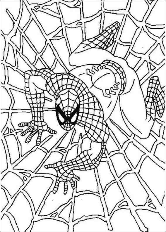 spiderman coloring pages. Spiderman 073 coloring page