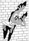 Spiderman 093 coloring page