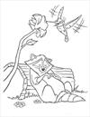 Pocahontas raccoon sleeping and colibri bird coloring page