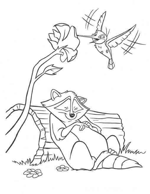 Pocahontas raccoon sleeping and colibri bird coloring page