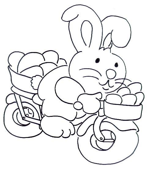 rabbit on bike