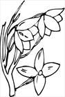 Flower 06 coloring page