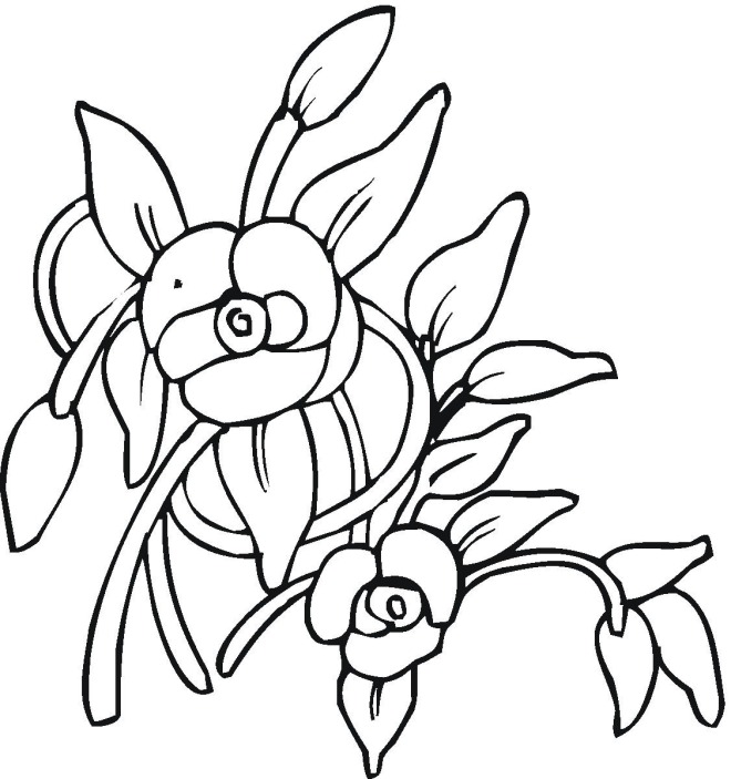 Flower 08 coloring page