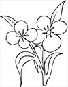 Flower 12 coloring page