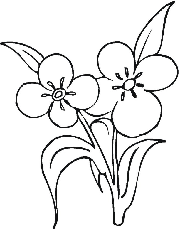 Flower 12 coloring page