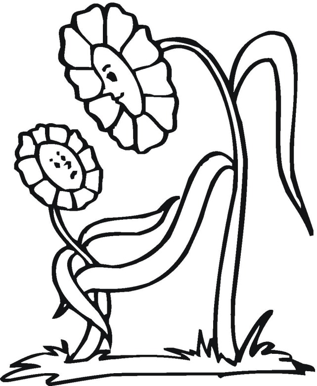 Flower 13 coloring page