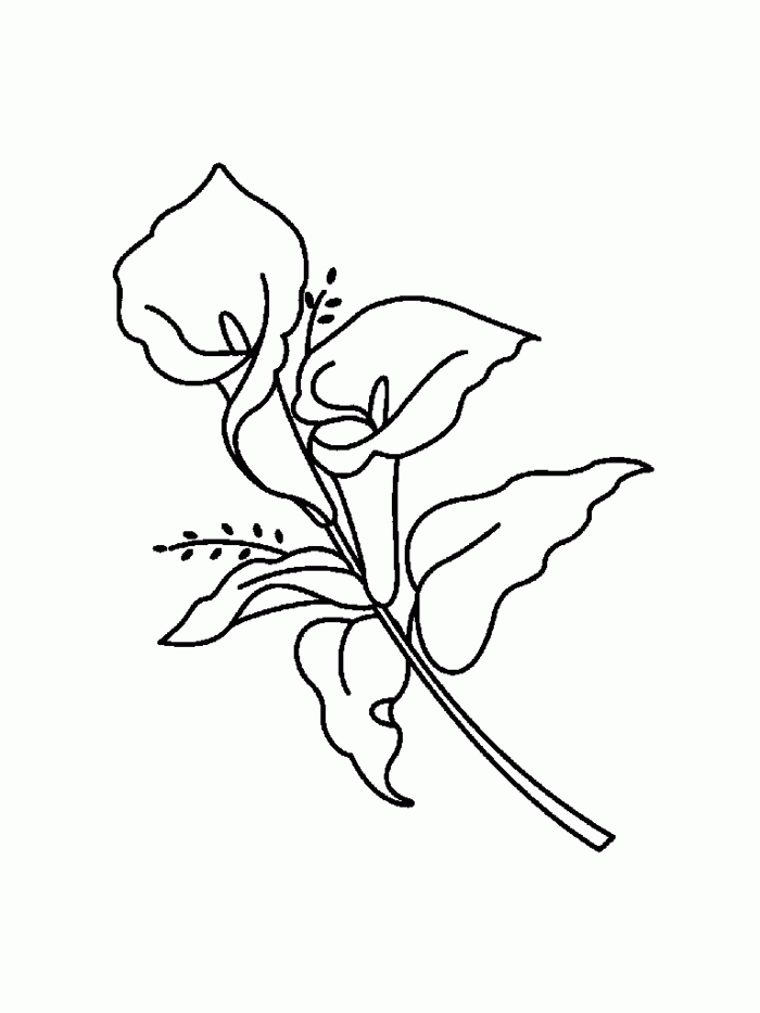 Flower 3 coloring page