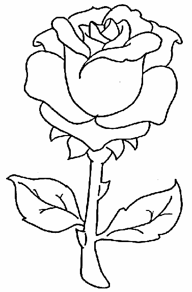 Flower rose coloring page
