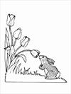 Flower with bunny coloring page