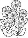 Flowers coloring page