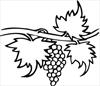 Fruit grapes coloring page