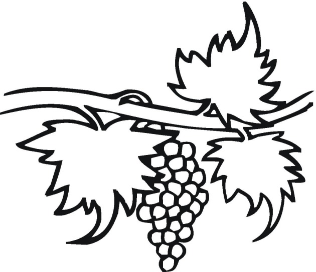 Fruit grapes coloring page