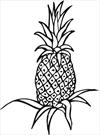 Fruit pineapple coloring page