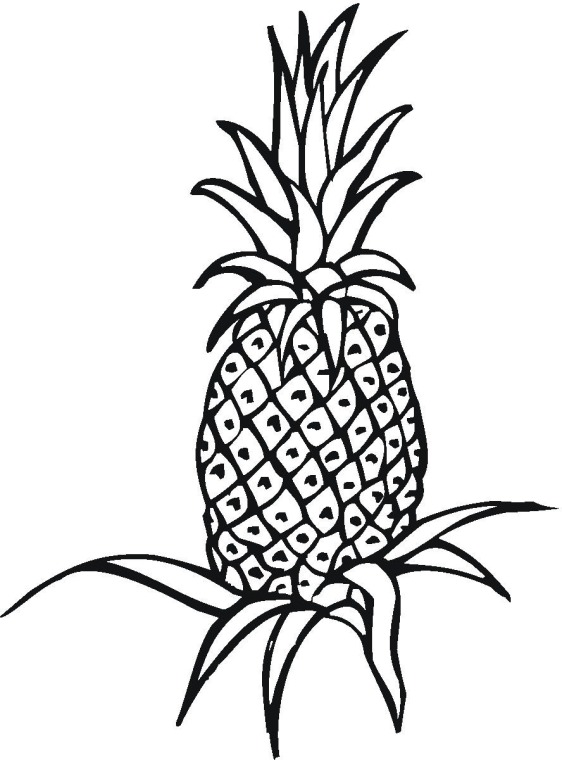 Fruit pineapple coloring page