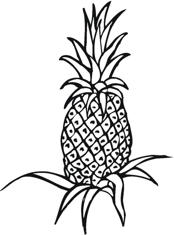 food pyramid for kids coloring page. food pyramid for kids coloring