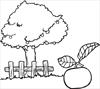 Apple tree coloring page