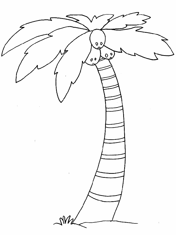 palm tree beach coloring pages - photo #33