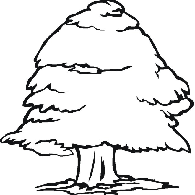 Tree 6 coloring page