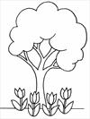 Tree coloring page