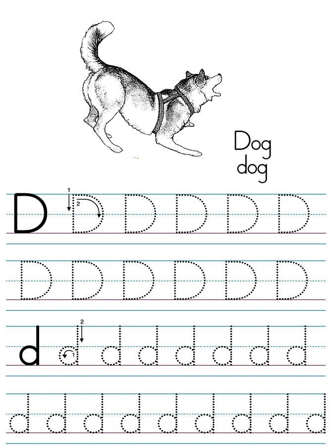 Alphabet ABC letter D Dog coloring page