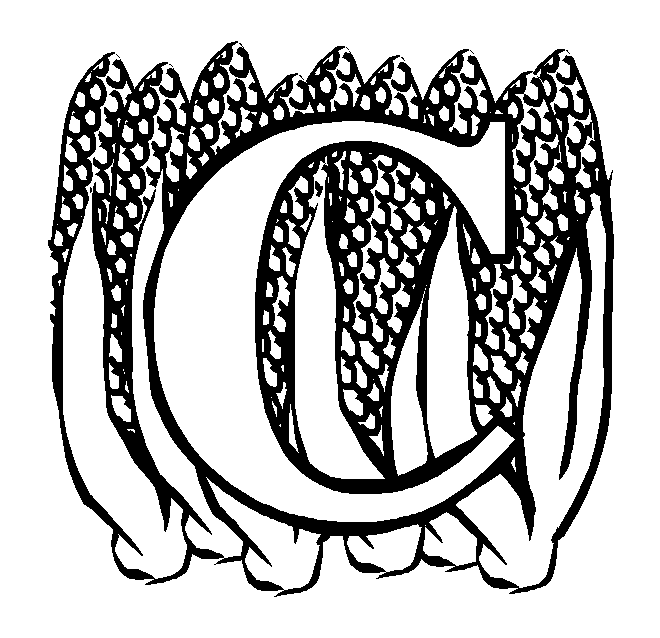 Letter C Corn coloring page